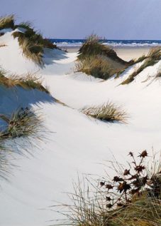 Henri BELBEOCH Les dunes de Tronoen Acrylique sur toile 100x81 1